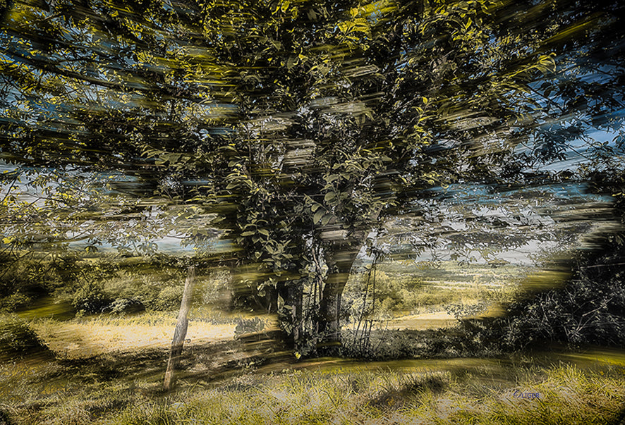 1694 PHOTOGRAPHIE D'ART 60 x 80 cm .
