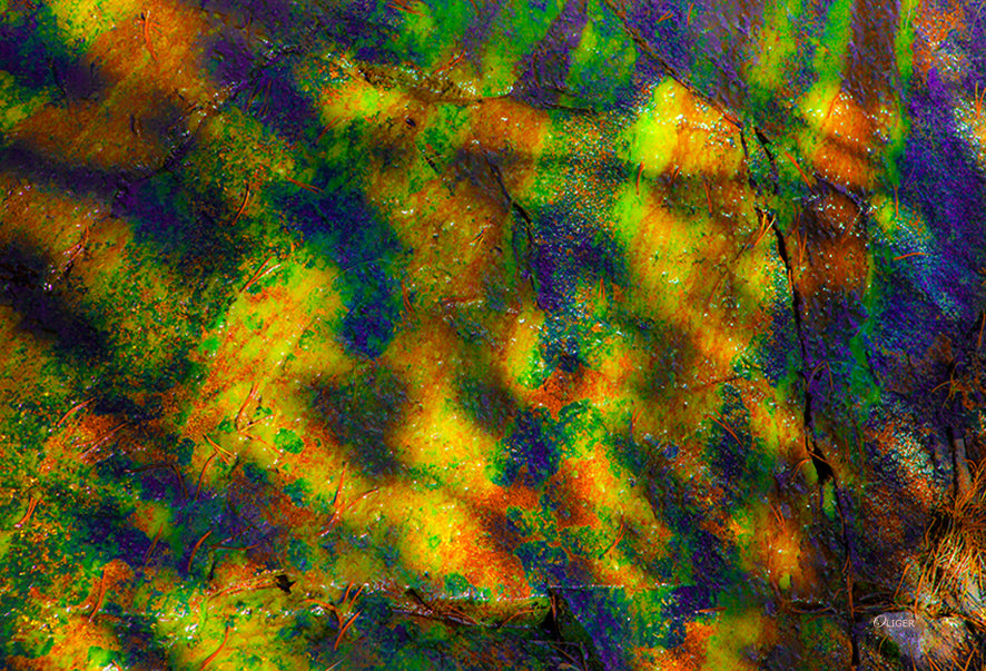 3109-2 PHOTOGRAPHIE D'ART 50 x 70 cm .