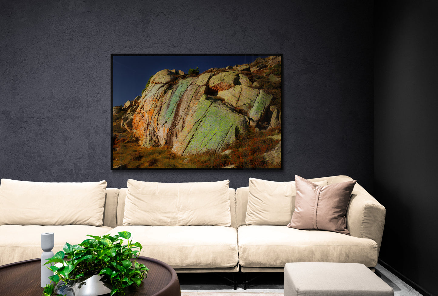 6255 PHOTOGRAPHIE D'ART 60 x 80 cm .