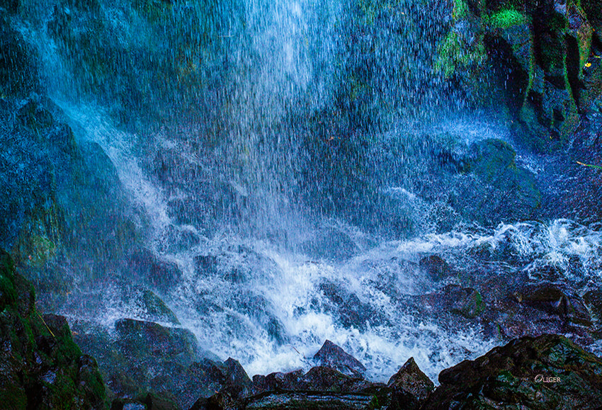 4740 PHOTOGRAPHIE D'ART 60 x 80 cm .