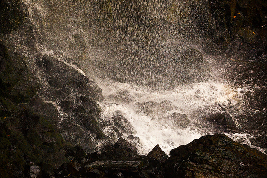 4748 PHOTOGRAPHIE D'ART 50 x 70 cm .