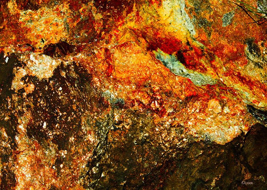 5115 PHOTOGRAPHIE D'ART 50 x 70 cm .