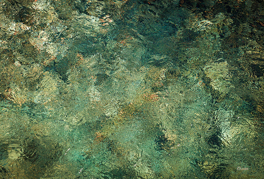 6033 PHOTOGRAPHIE D'ART 60 x 80 cm .