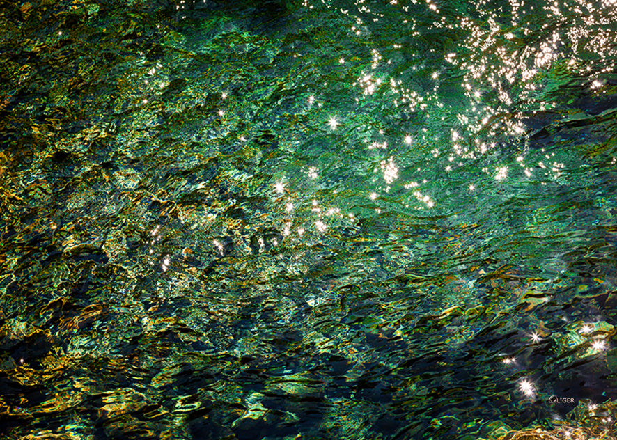 6035 PHOTOGRAPHIE D'ART 50 x 70 cm .