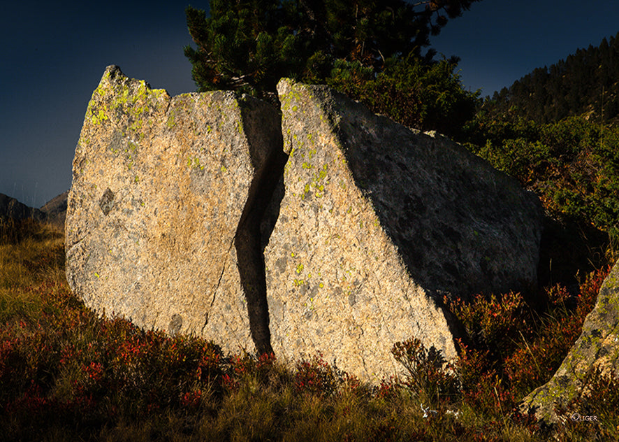 6219 PHOTOGRAPHIE D'ART 60 x 80 cm .