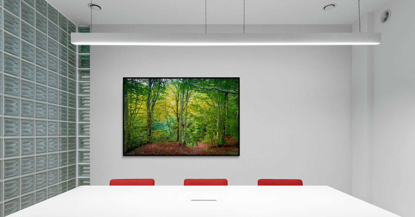 7689 PHOTOGRAPHIE D'ART 50 x 70 cm .