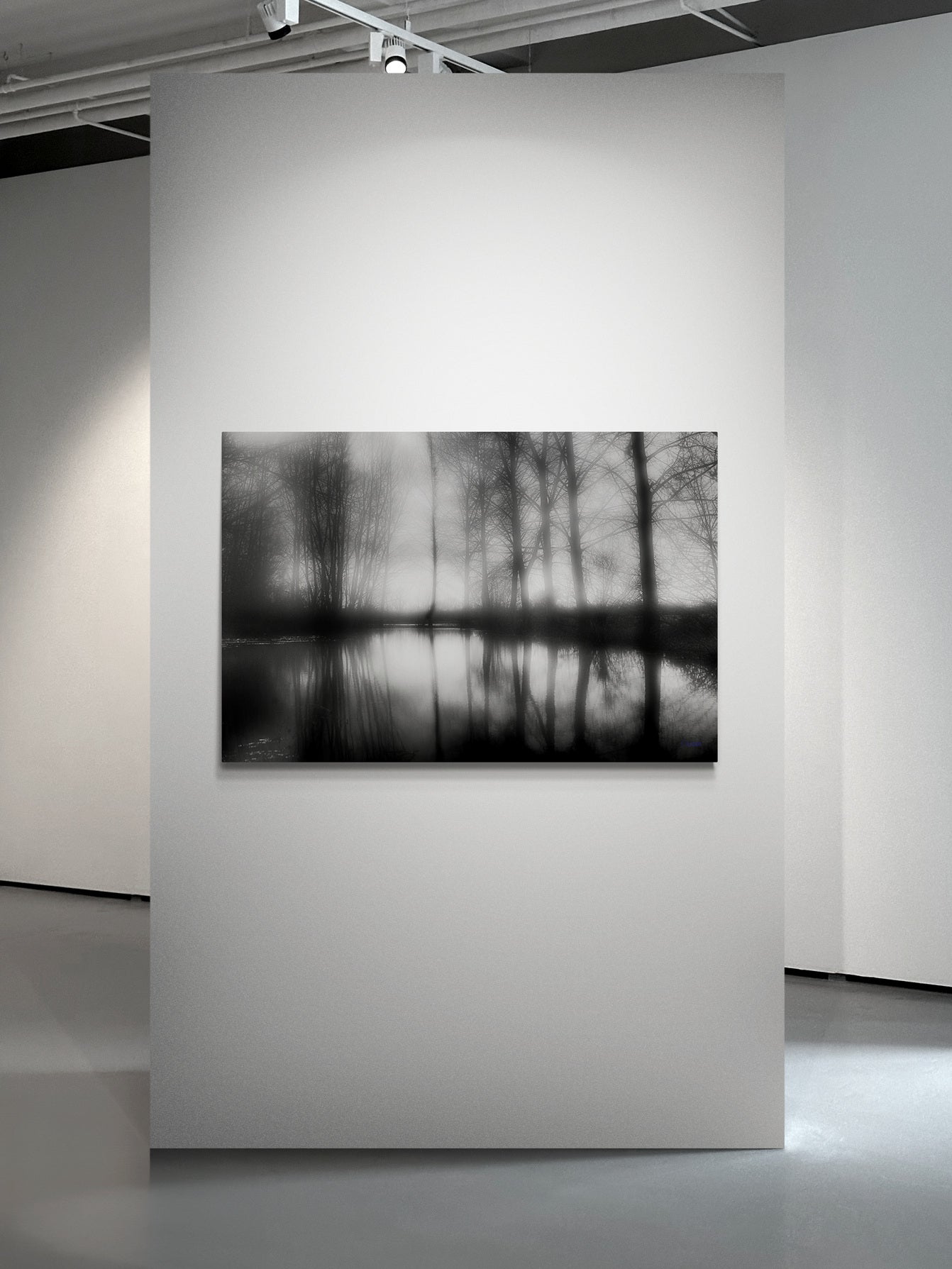 4585 PHOTOGRAPHIE D'ART 60 x 80 cm .
