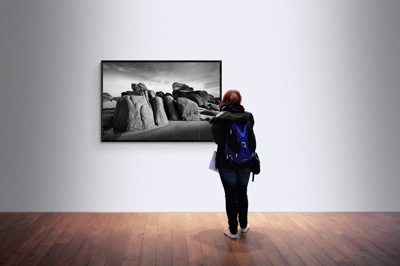 4M4A2955 PHOTOGRAPHIE D'ART 120 x 80 cm .