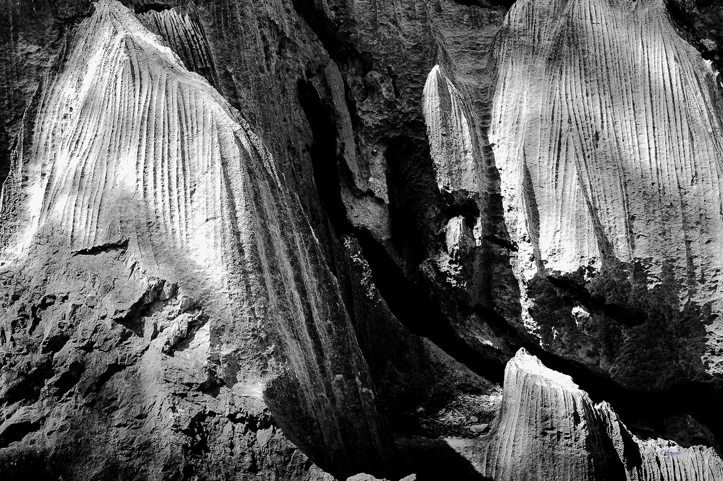 IMG_0058 PHOTOGRAPHIE D'ART 60 x 80 cm .