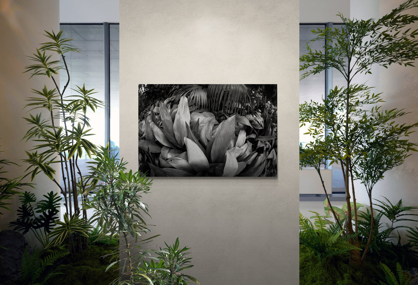 4M4A0745 PHOTOGRAPHIE D'ART 120 x 80 cm .
