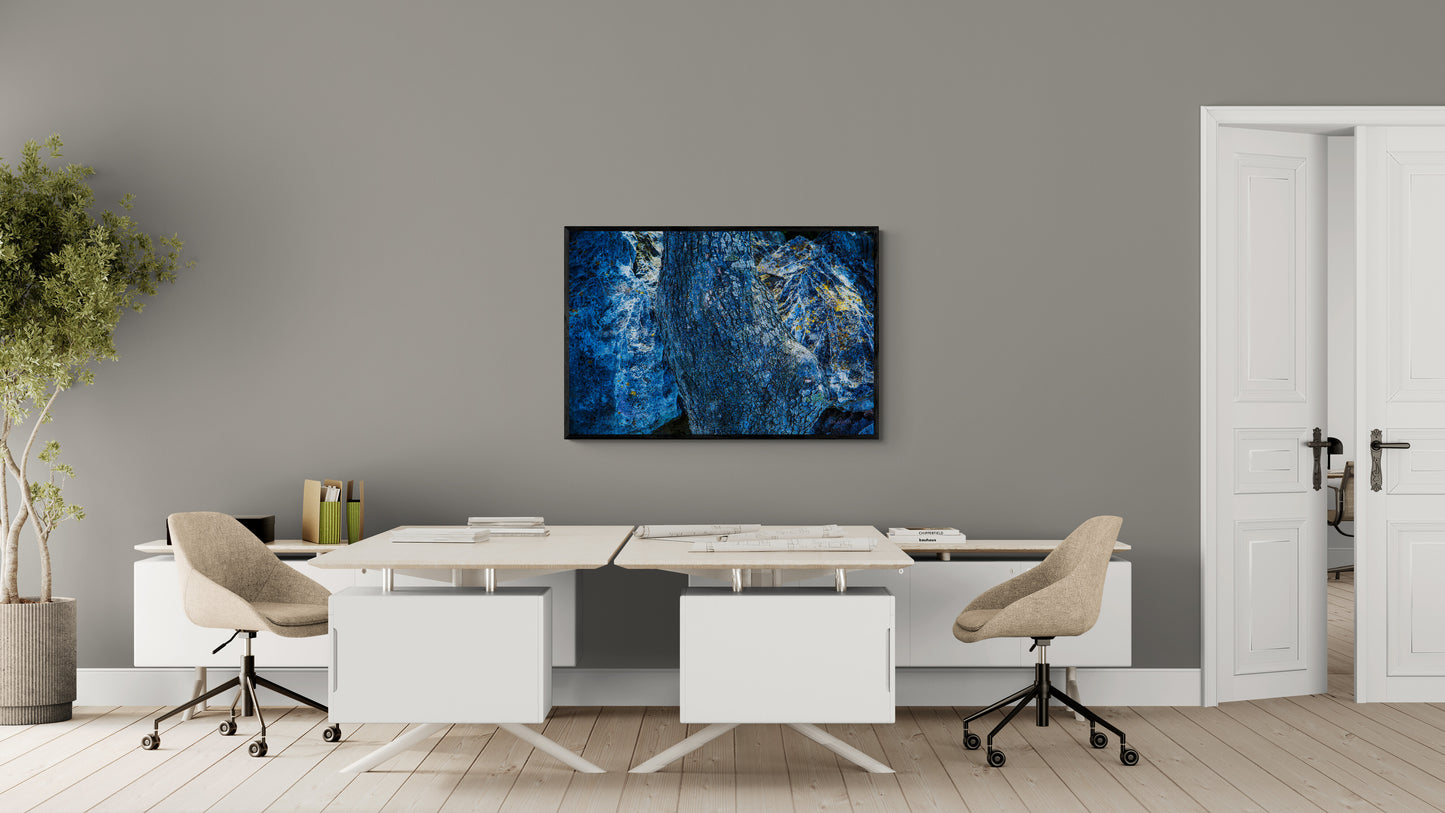 0101 PHOTOGRAPHIE D'ART 120 x 80 cm .