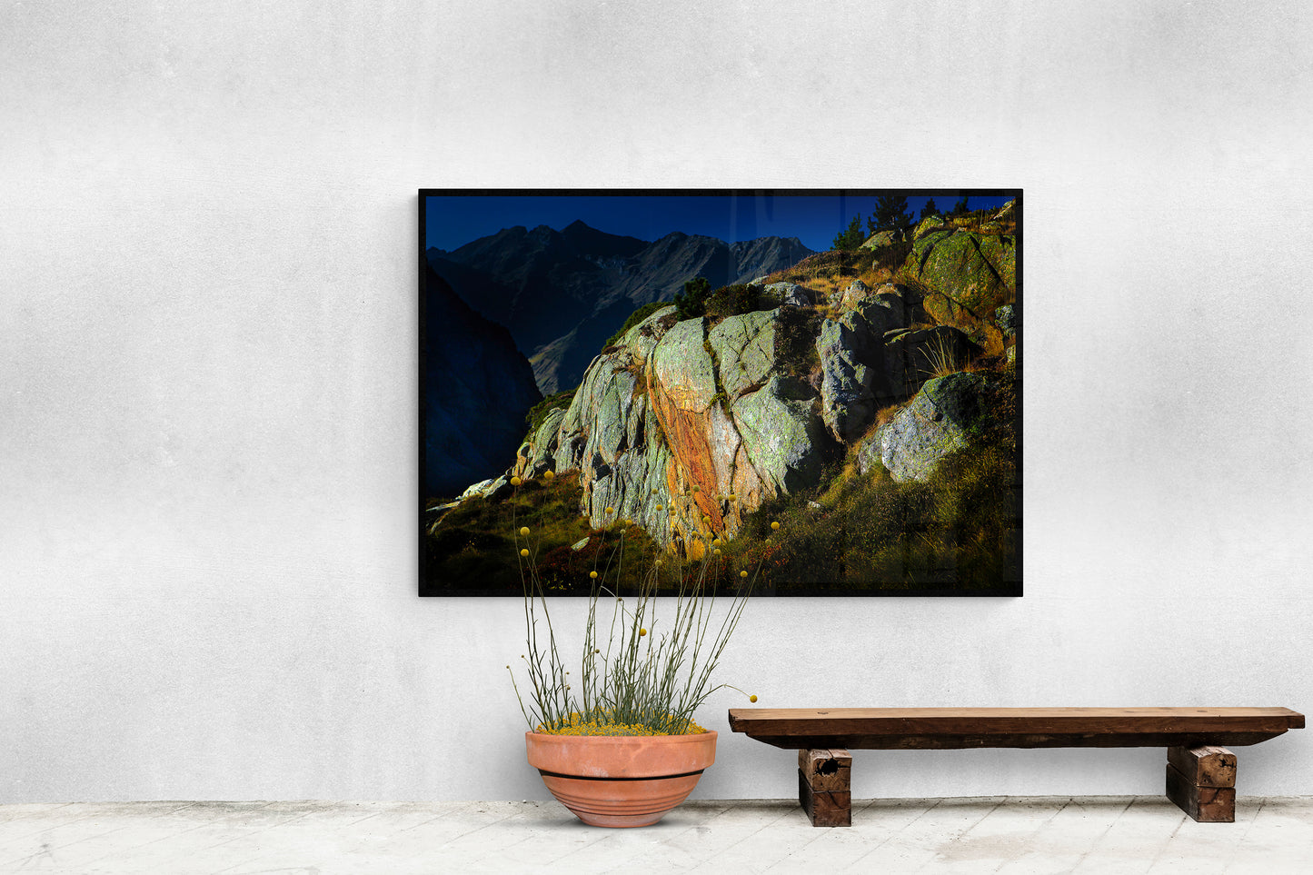 6256 PHOTOGRAPHIE D'ART 50 x 70 cm .