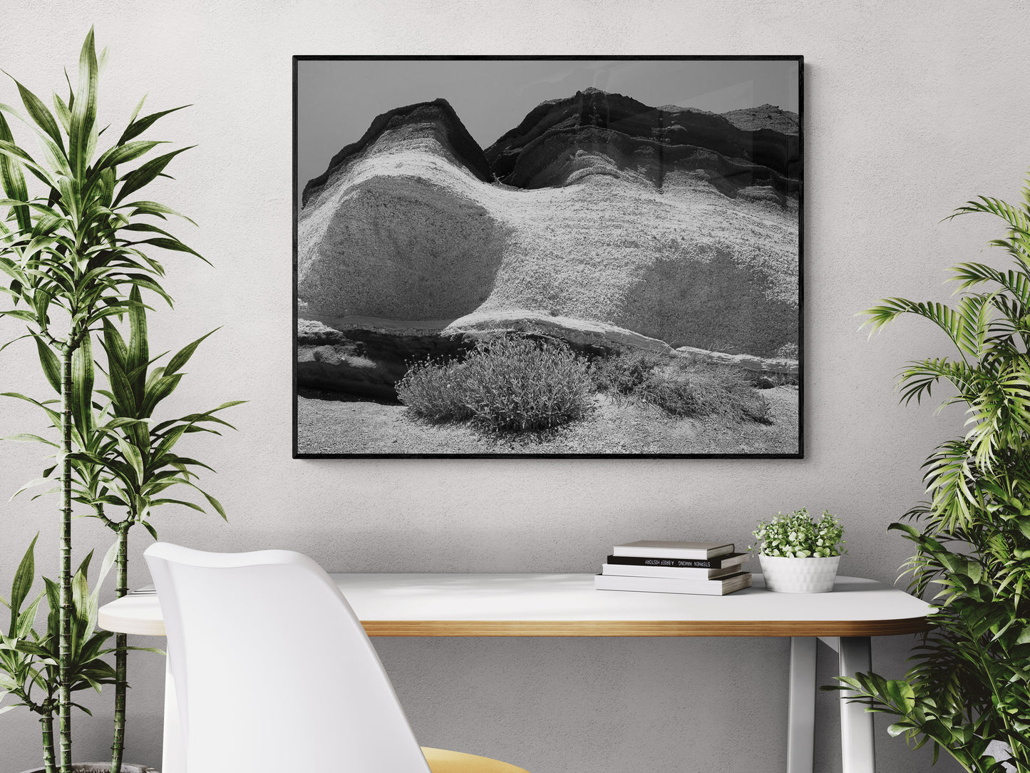 7041 PHOTOGRAPHIE D'ART 80 x 60 cm .