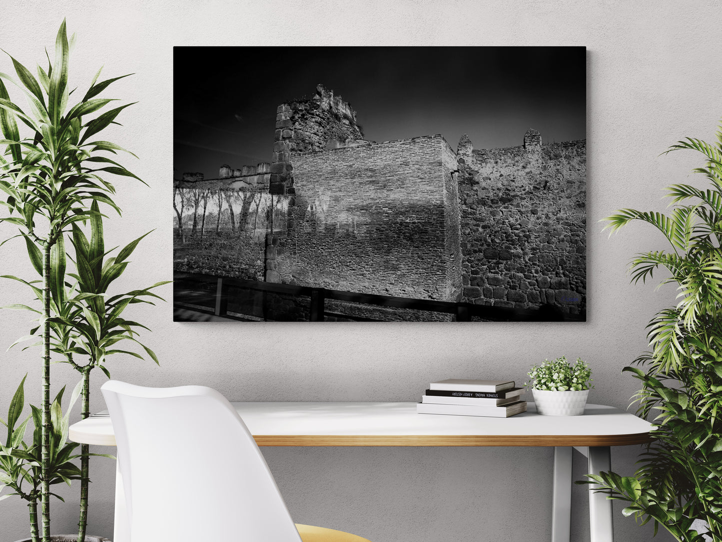 0016 PHOTOGRAPHIE D'ART 60 x 80 cm .
