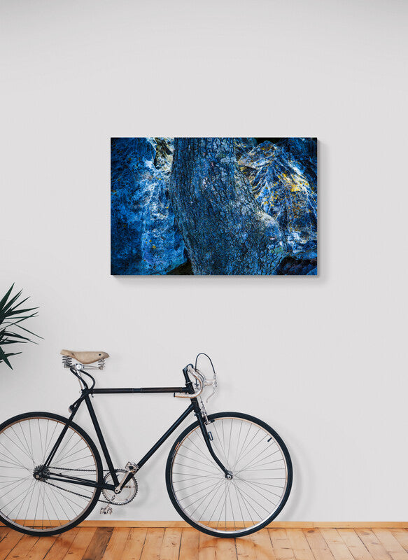 0101 PHOTOGRAPHIE D'ART 60 x 80 cm .