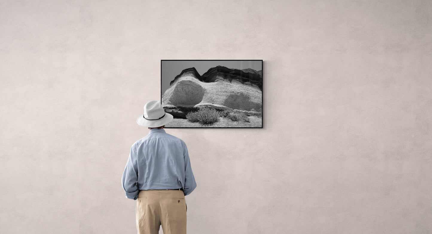 7041 PHOTOGRAPHIE D'ART 80 x 60 cm .