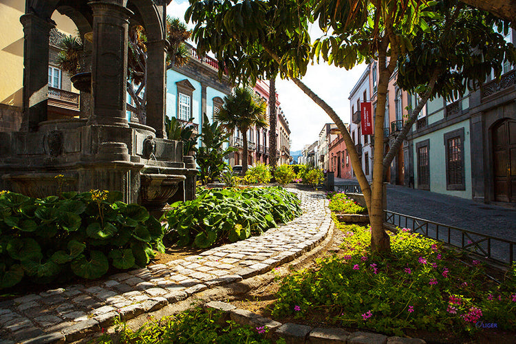 CAISSE AMERICAINE paysage urbain