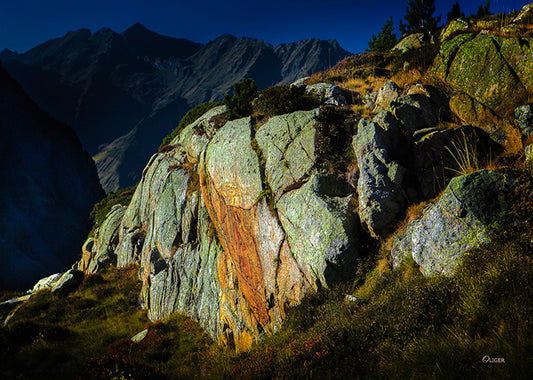 6256 PHOTOGRAPHIE D'ART 50 x 70  cm  .