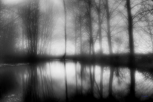 4585 PHOTOGRAPHIE D'ART 60 x 80  cm  .