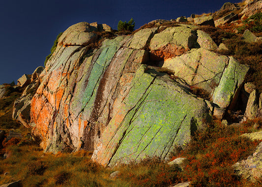 6255 PHOTOGRAPHIE D'ART 60 x 80  cm  .