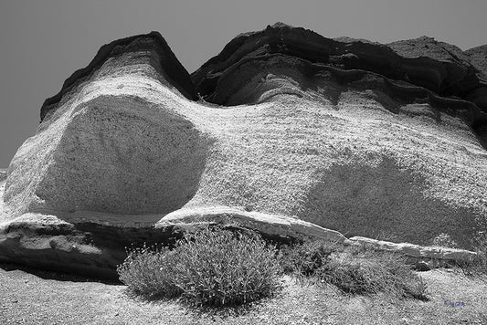 7041 PHOTOGRAPHIE D'ART 80 x 60 cm  .