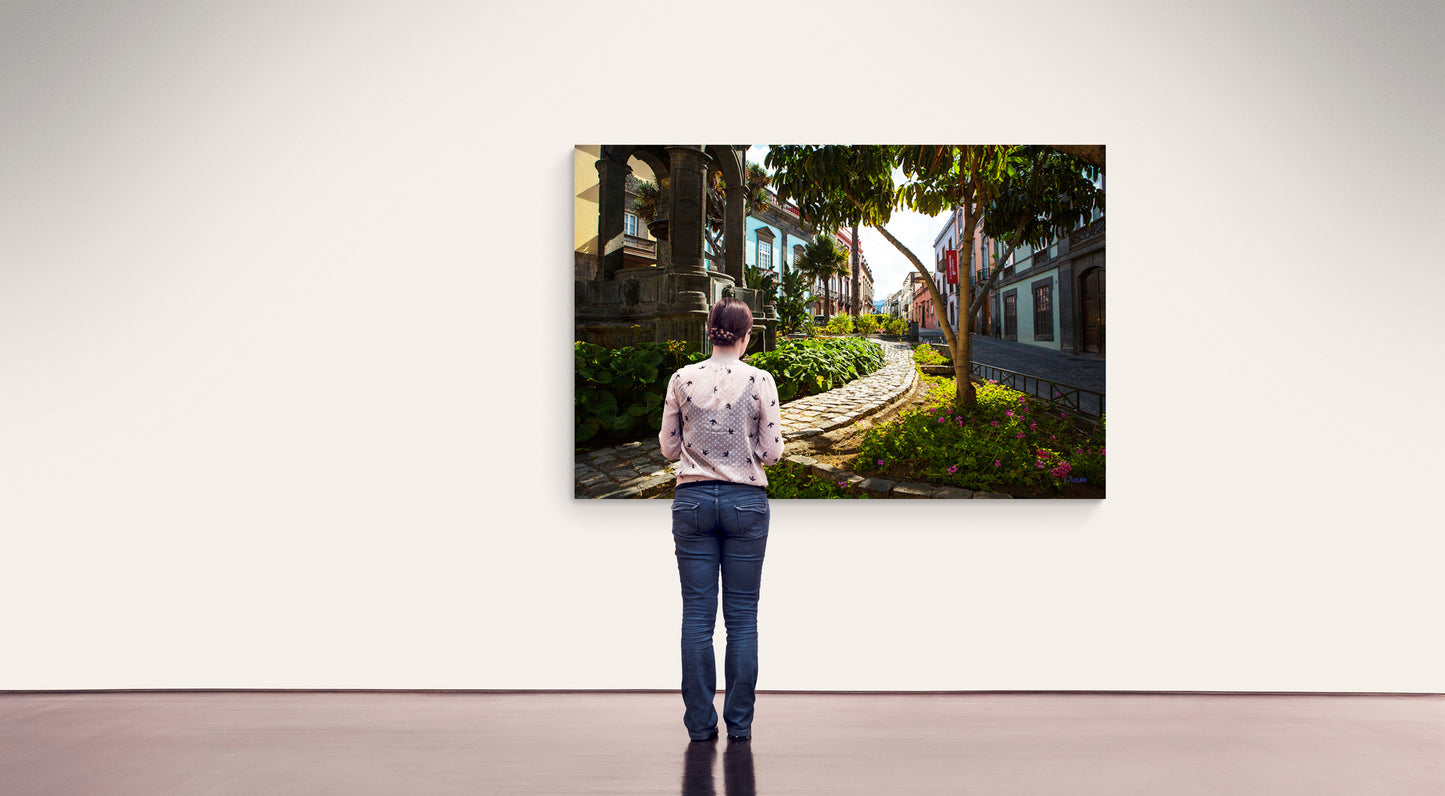 7662 PHOTOGRAPHIE D'ART 60 x 80  cm  .