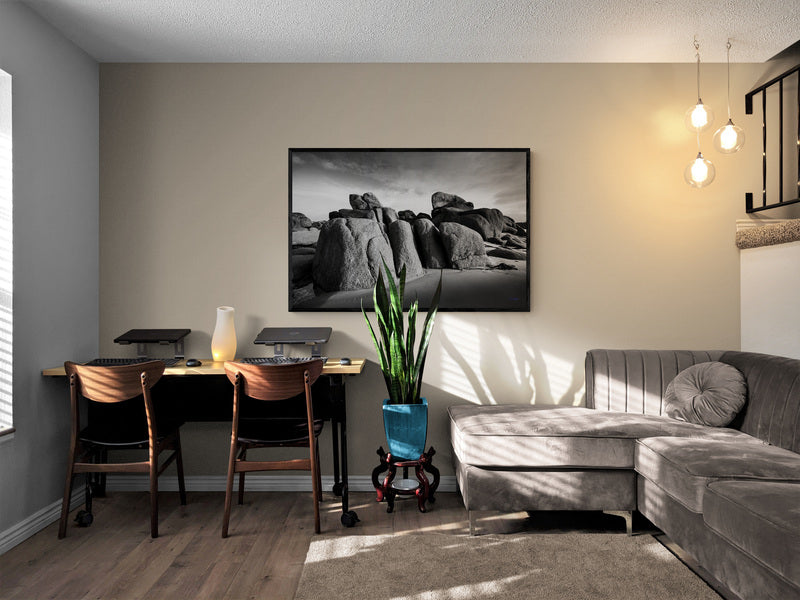 4M4A2955 PHOTOGRAPHIE D'ART 120 x 80  cm  .