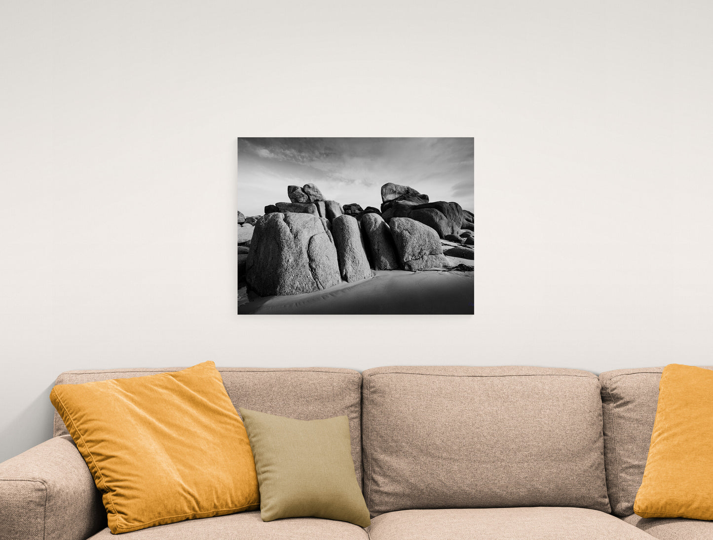 4M4A2955 PHOTOGRAPHIE D'ART 50 x 70  cm  .