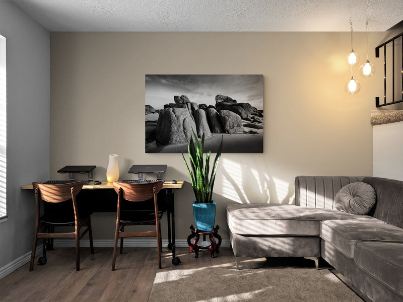 4M4A2955 PHOTOGRAPHIE D'ART 50 x 70  cm  .