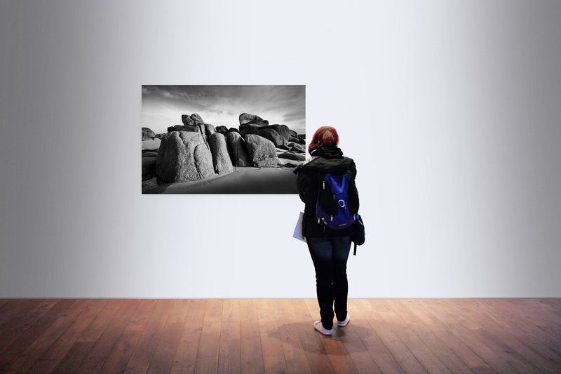 4M4A2955 PHOTOGRAPHIE D'ART 50 x 70  cm  .