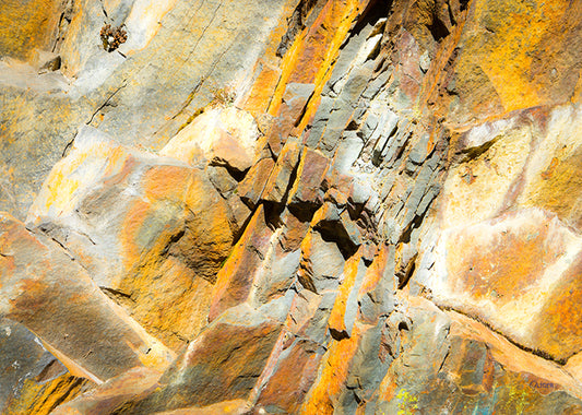 0471 PHOTOGRAPHIE D'ART 50 x 70 cm  .