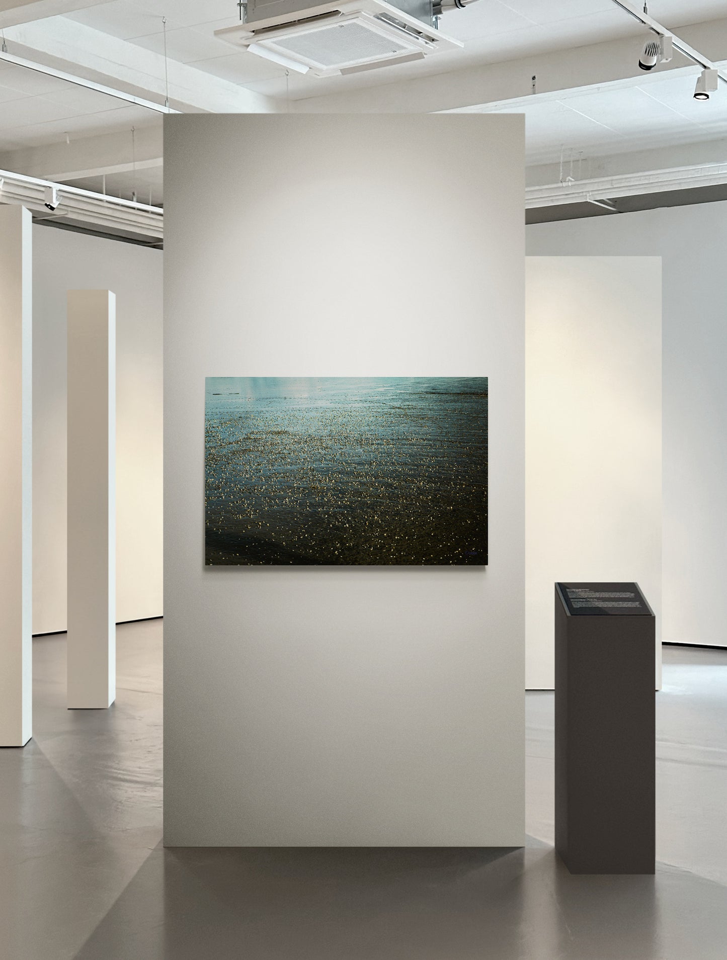 4M4A3239 PHOTOGRAPHIE D'ART 120 x 80  cm  .