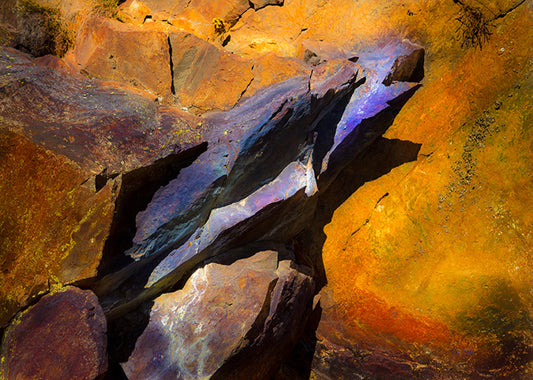 0491 PHOTOGRAPHIE D'ART 60 x 80  cm  .