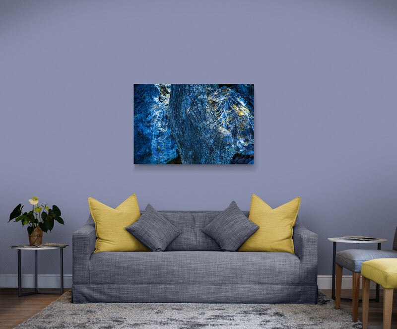 0101 PHOTOGRAPHIE D'ART 60 x 80 cm  .