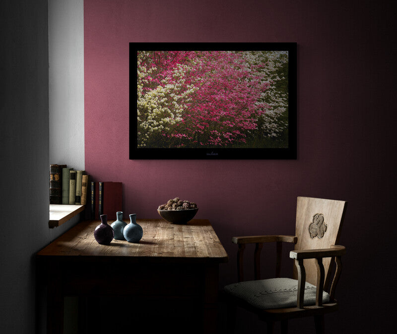 0093 PHOTOGRAPHIE D'ART 50 x 70 cm  .