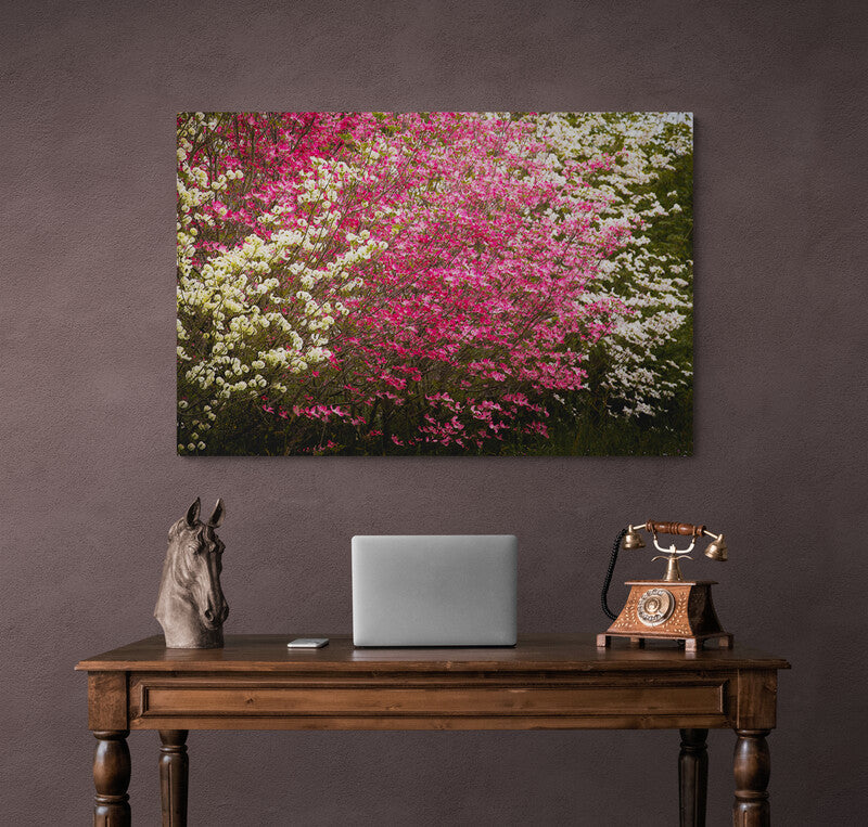 0093 PHOTOGRAPHIE D'ART 50 x 70 cm  .