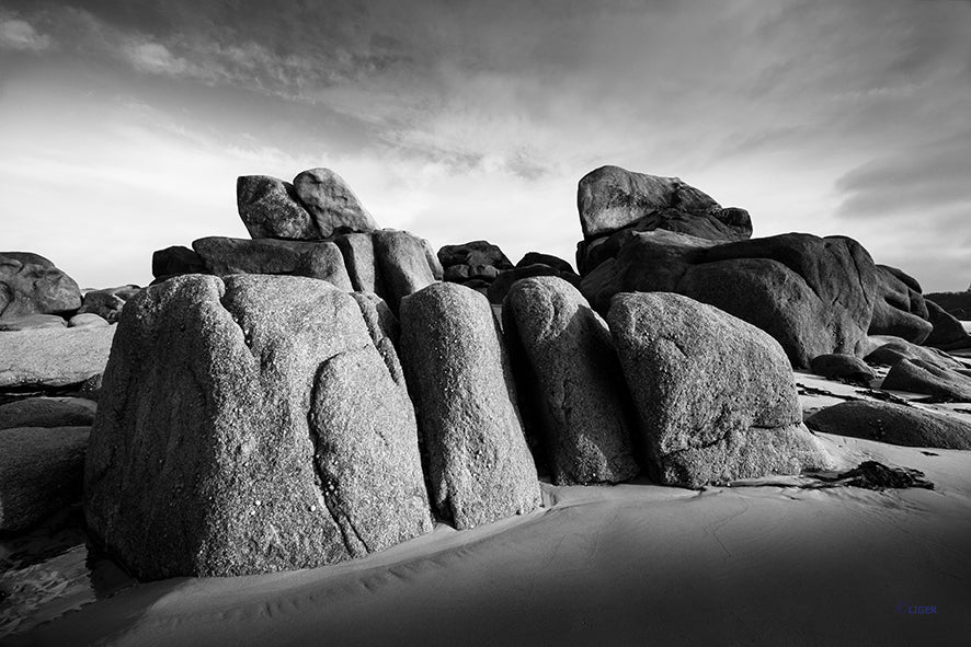 4M4A2955 PHOTOGRAPHIE D'ART 50 x 70  cm  .