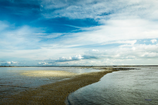 4M4A3229 PHOTOGRAPHIE D'ART 60 x 80  cm  .