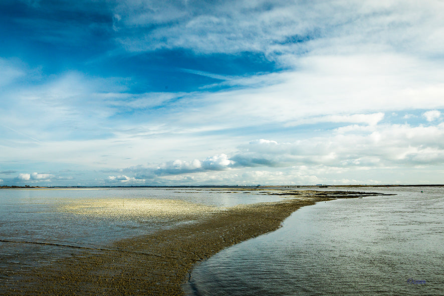 4M4A3229 PHOTOGRAPHIE D'ART 120 x 80  cm  .
