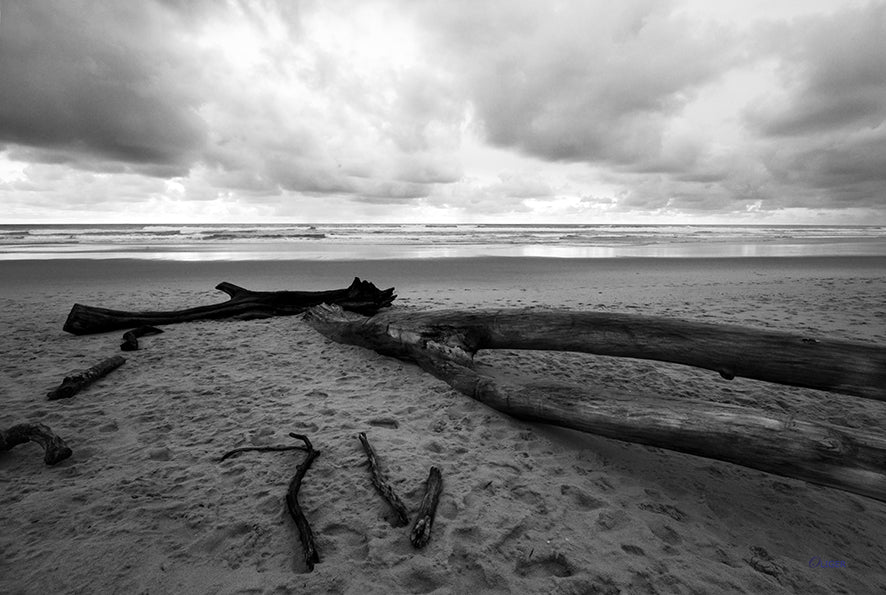 4M4A4019 PHOTOGRAPHIE D'ART 60 x 80  cm  .