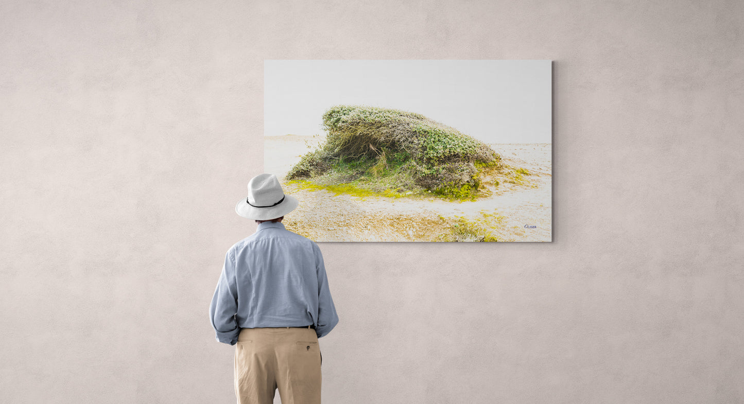 4M4A3412 PHOTOGRAPHIE D'ART 60 x 80   cm  .