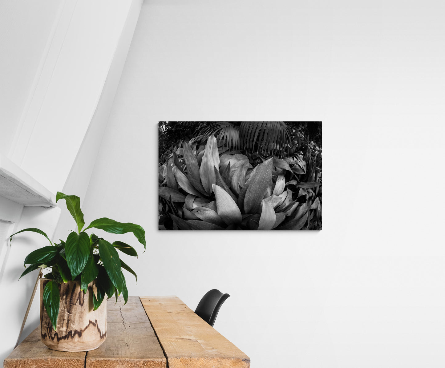 4M4A0745 PHOTOGRAPHIE D'ART 60 x 80  cm  .