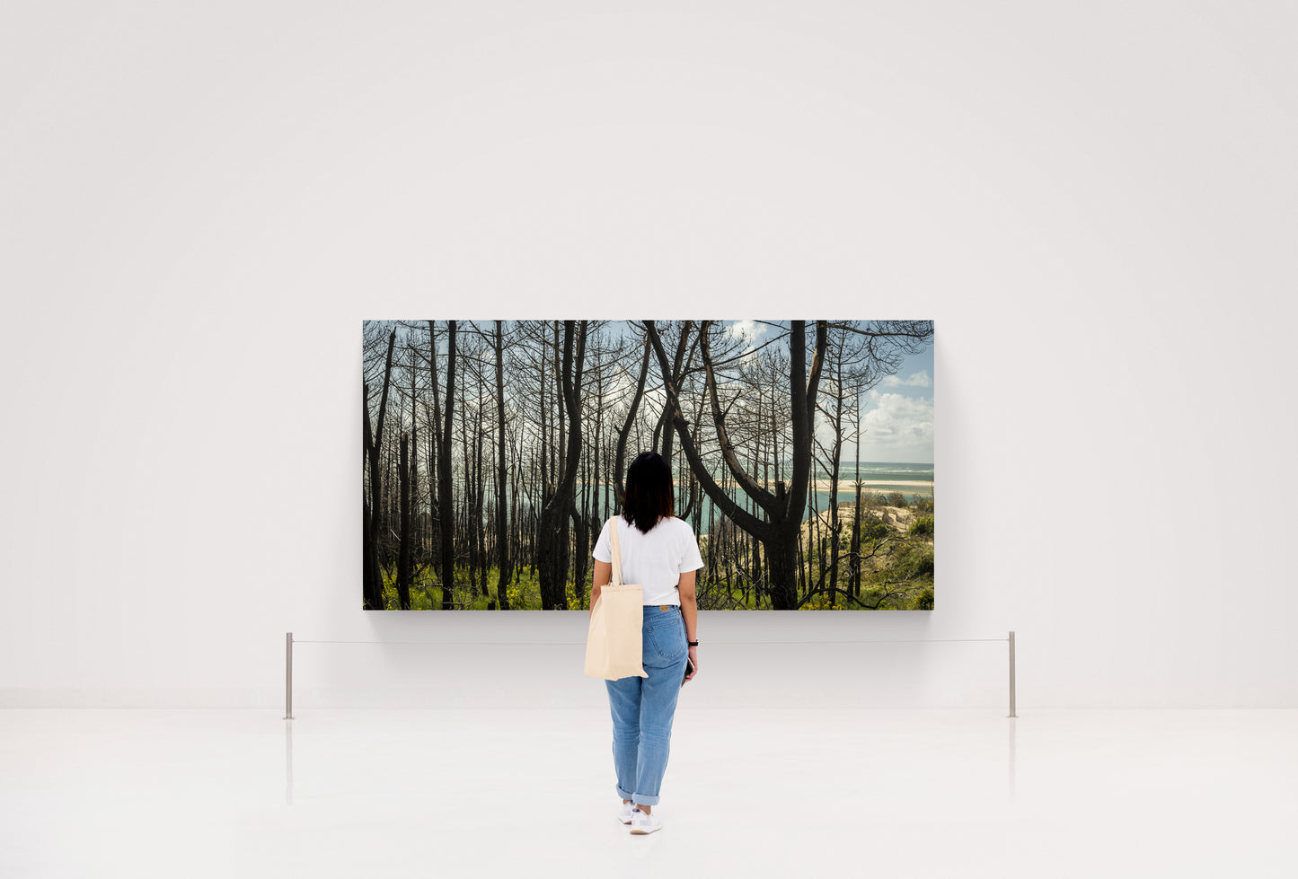 4M4A4222 PHOTOGRAPHIE D'ART 150 x 75  cm  .