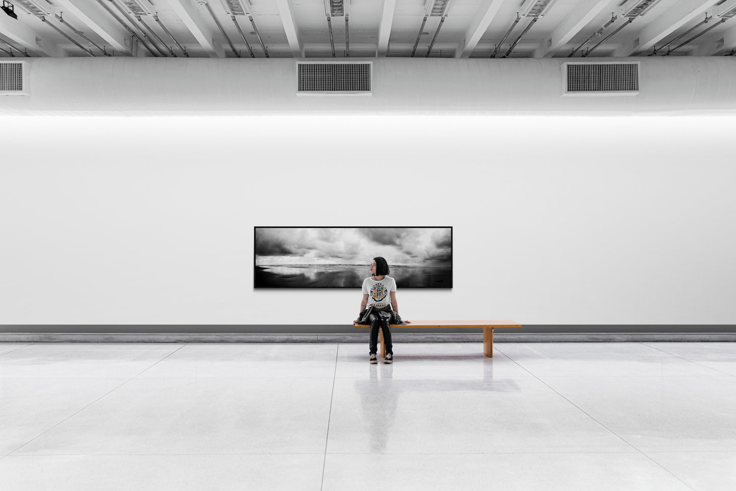 4M4A4044-Panorama PHOTOGRAPHIE D'ART 150  x 44.75 cm  .