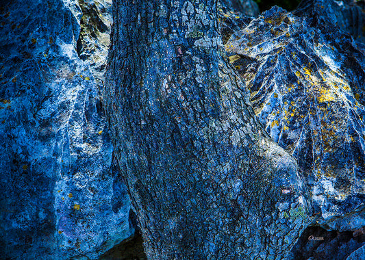 0101 PHOTOGRAPHIE D'ART 60 x 80 cm  .