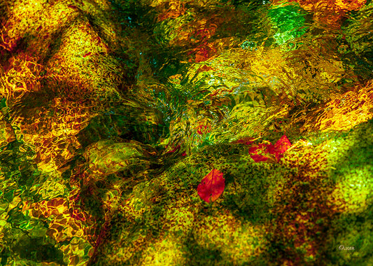 9881 PHOTOGRAPHIE D'ART 60 x 80  cm  .