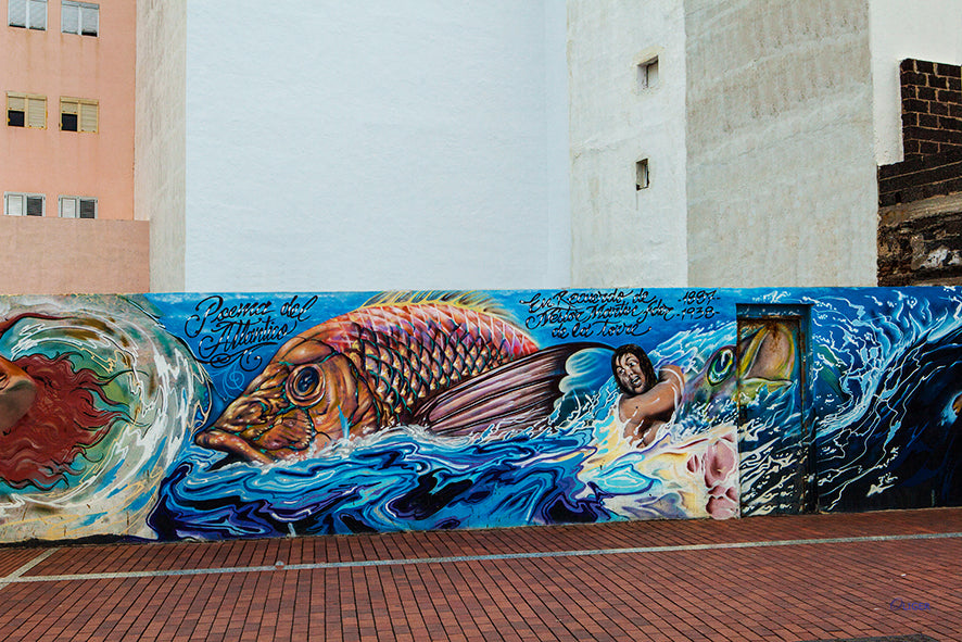 7309 PHOTOGRAPHIE D'ART 50 x 70  cm  .