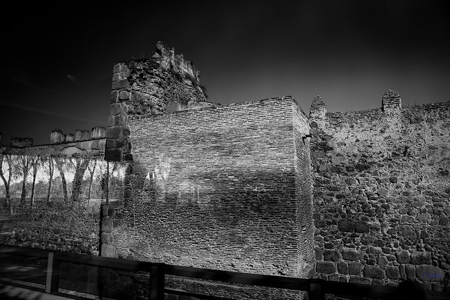 0016 PHOTOGRAPHIE D'ART 60 x 80  cm  .